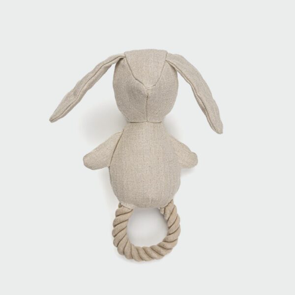 Cloud7-Dog-Toy-Bunny-Molly-on-grey.jpg