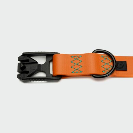 Cloud7-Dog-Collar-Ipanema-Neon-Orange-Detail-on-grey.jpg