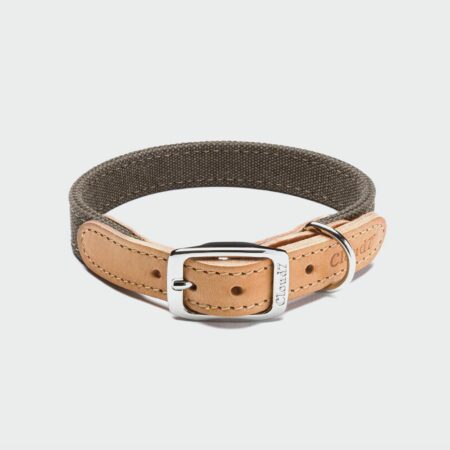 Cloud7-Dog-Collar-Tivoli-canvas-leather-greige.jpg